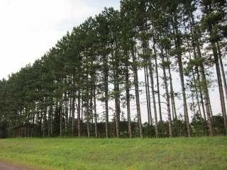 IMG_2180.jpg