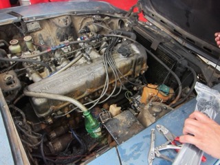 IMG_1217.jpg