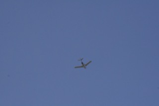 IMG_1165.jpg