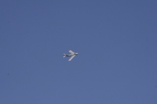 IMG_1184.jpg