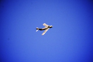 IMG_1185.jpg