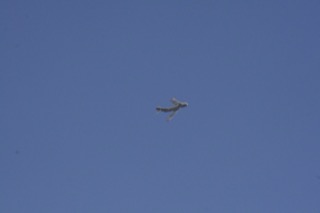 IMG_1186.jpg