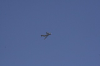 IMG_1187.jpg