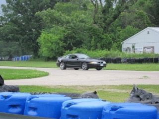 IMG_1043.jpg