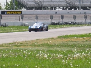 IMG_1733.jpg