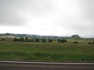 IMG_1373.jpg