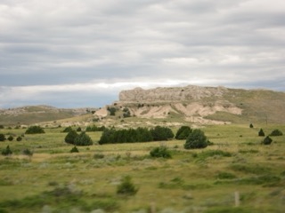 IMG_1418.jpg