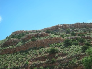 IMG_1435.jpg