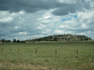 IMG_1446.jpg