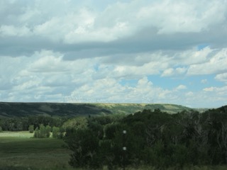 IMG_1451.jpg