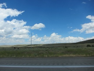 IMG_1454.jpg