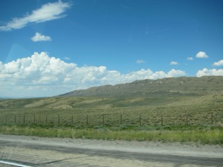 IMG_1458.jpg