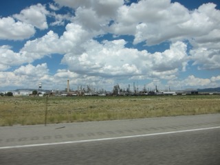 IMG_1462.jpg