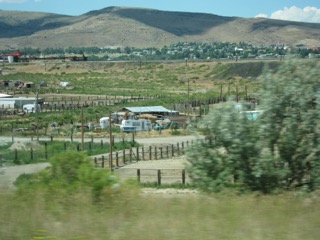 IMG_1466.jpg