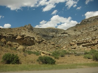 IMG_1474.jpg