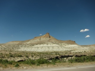 IMG_1482.jpg