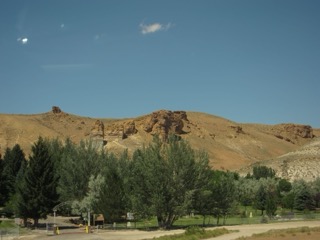 IMG_1484.jpg
