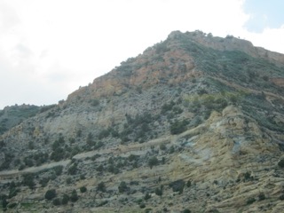 IMG_1497.jpg