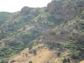 IMG_1500.jpg