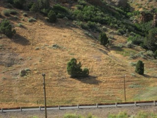 IMG_1501.jpg