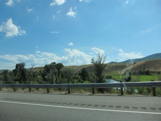 IMG_1508.jpg