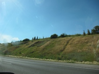 IMG_1513.jpg