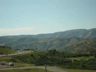 IMG_1516.jpg