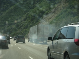 IMG_1522.jpg