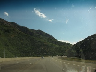 IMG_1524.jpg