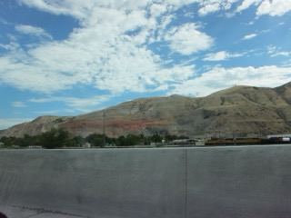IMG_1558.jpg