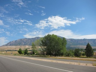 IMG_1579.jpg