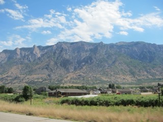 IMG_1582.jpg