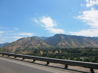 IMG_1589.jpg
