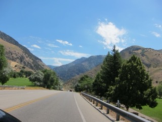 IMG_1591.jpg