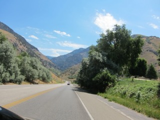 IMG_1592.jpg