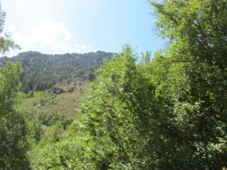 IMG_1596.jpg