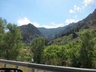 IMG_1597.jpg
