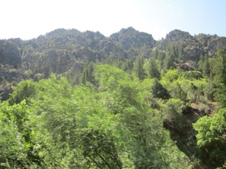 IMG_1598.jpg