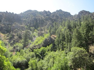 IMG_1599.jpg