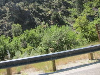IMG_1600.jpg