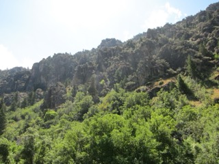 IMG_1601.jpg