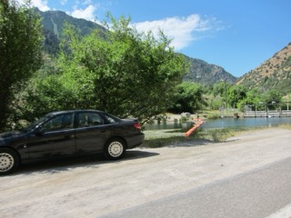 IMG_1607.jpg