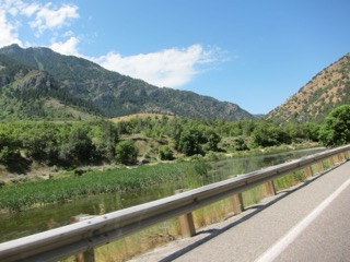 IMG_1609.jpg