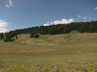 IMG_1616.jpg