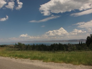 IMG_1620.jpg