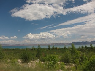 IMG_1625.jpg