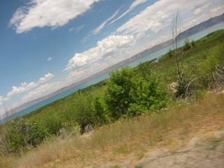 IMG_1626.jpg