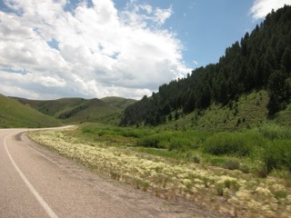 IMG_1628.jpg