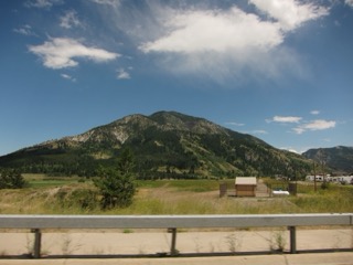 IMG_1647.jpg