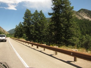 IMG_1652.jpg